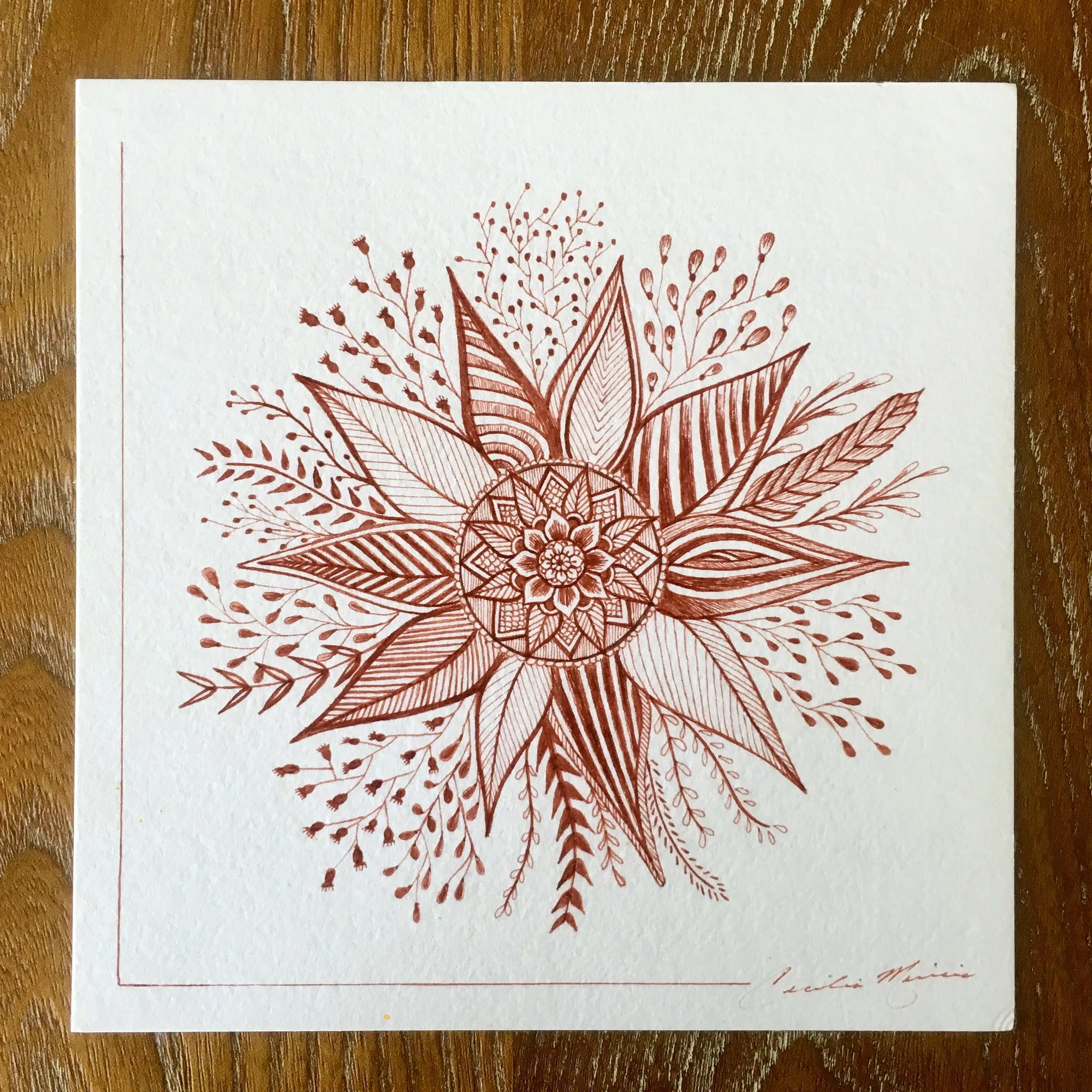 Cosita Linda Collection