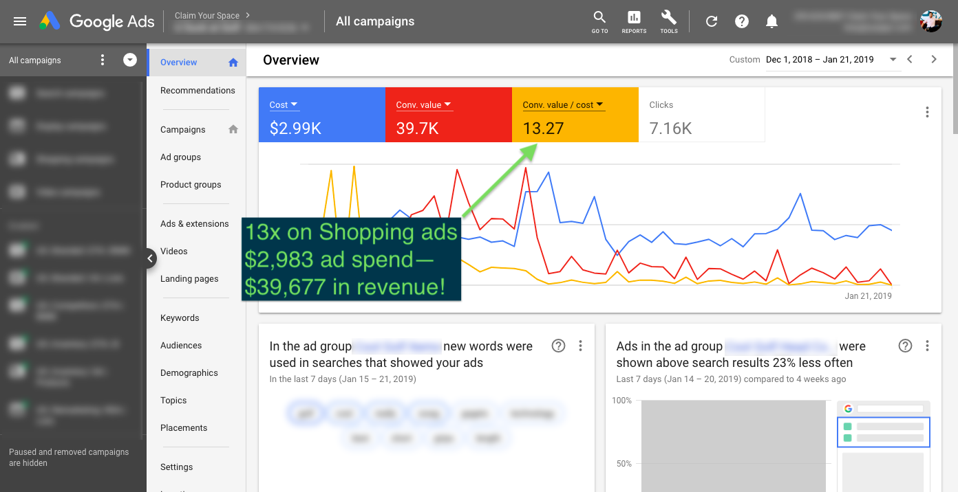 +13x on Google Shopping Ads Campaign—Oh My! 