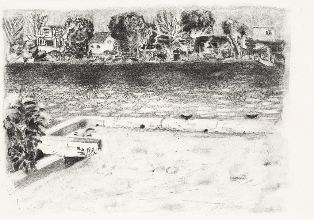 Richelieu river, charcoal on paper, 15x21 inches, 2014