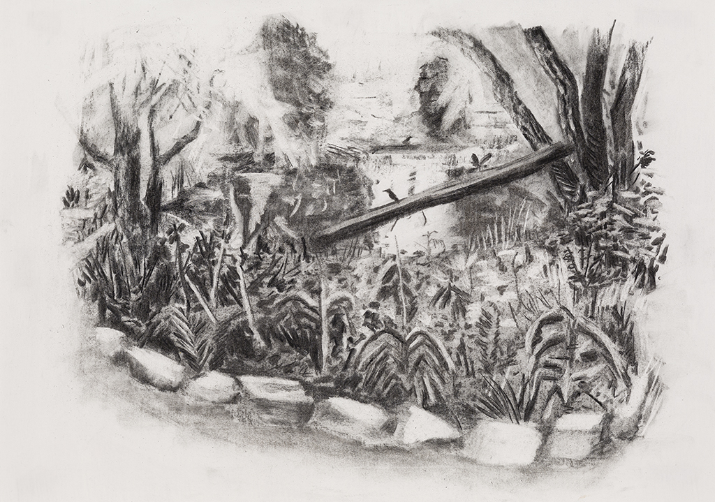 St-Philippe de La Prairie, charcoal on paper, 15x21 inches, 2014