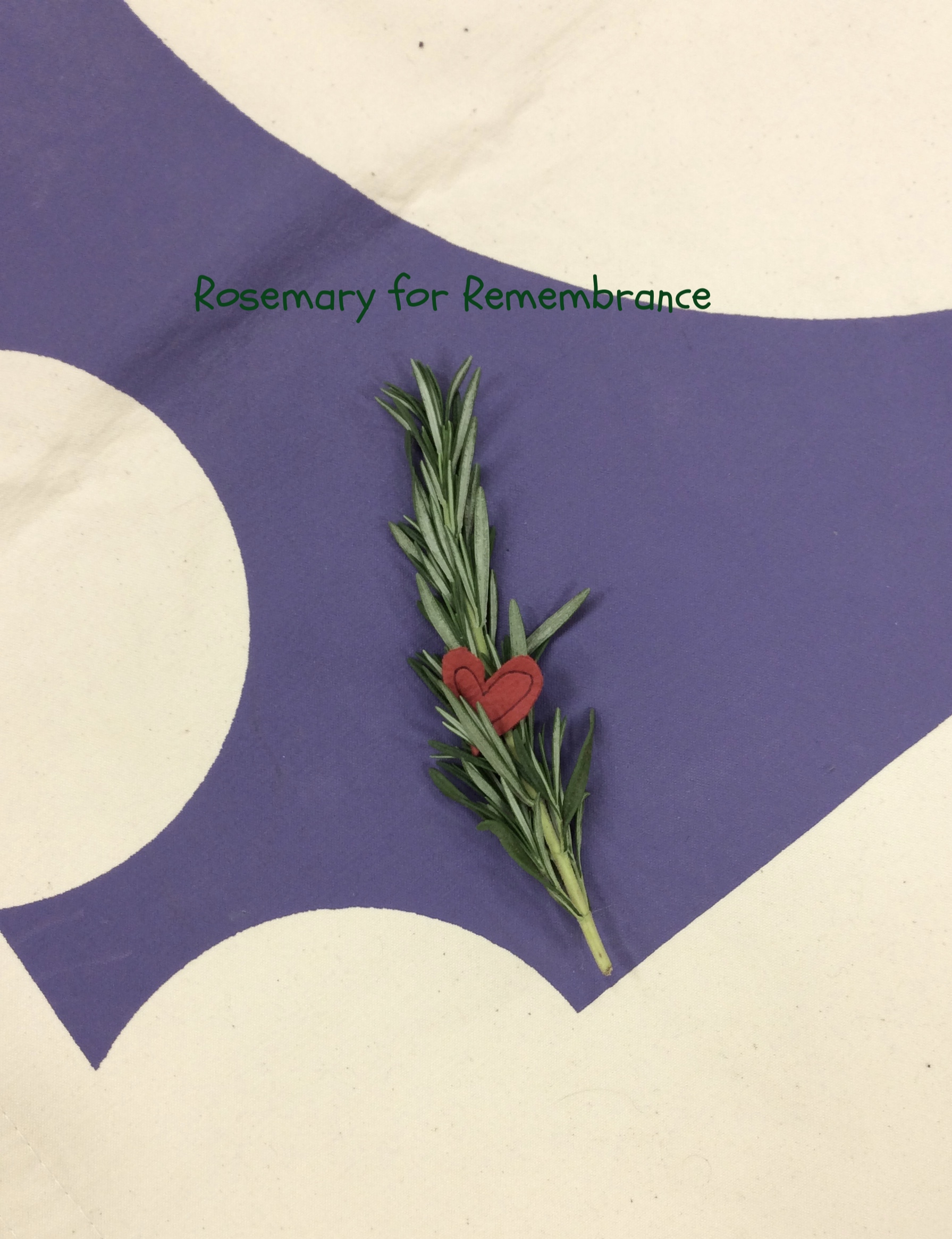 Rosemary for Remembrance. 