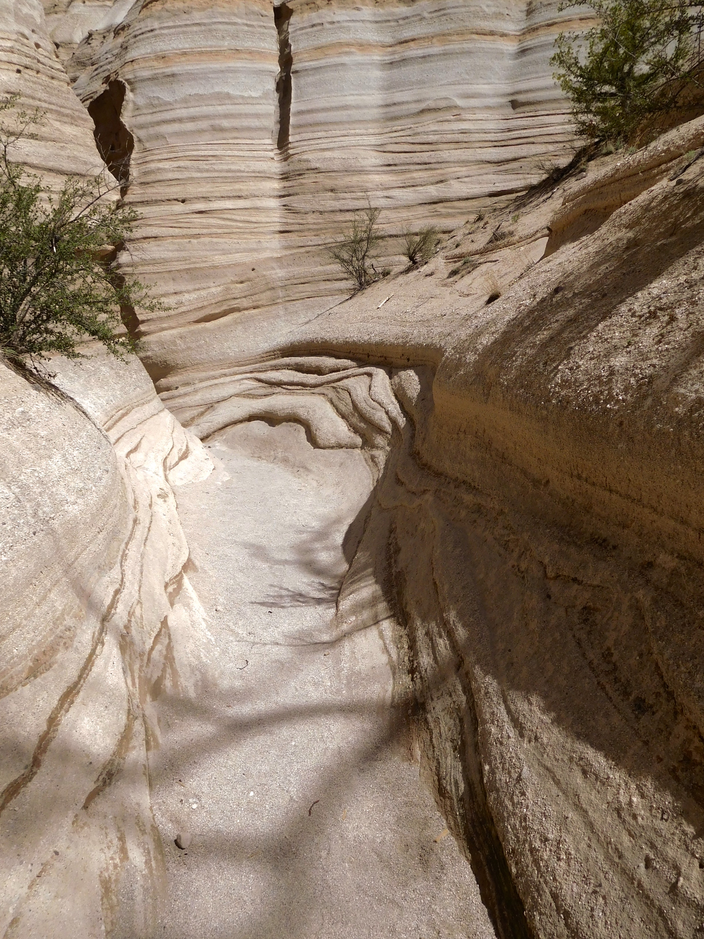 Dry, dusty, & difficult journey. Photo by anne richardson.