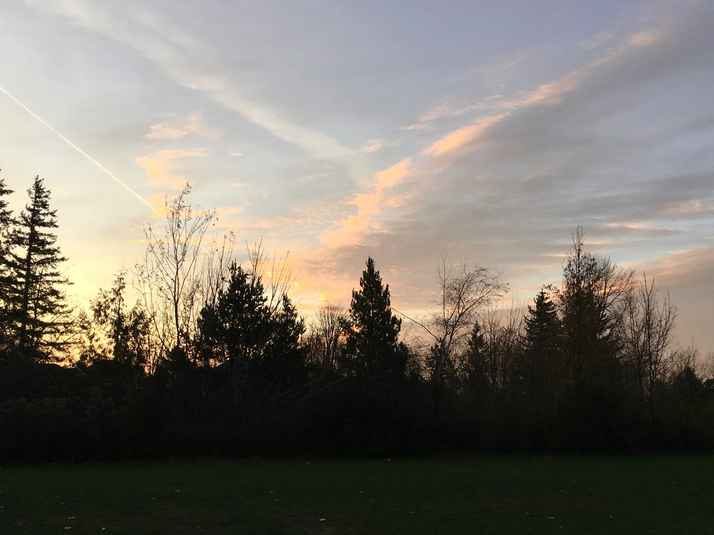 Sun rising late in early December, two weeks before the solstice. Grief is a kind companion on my morning walks. photo by anne richardson. Lake Oswego, OR