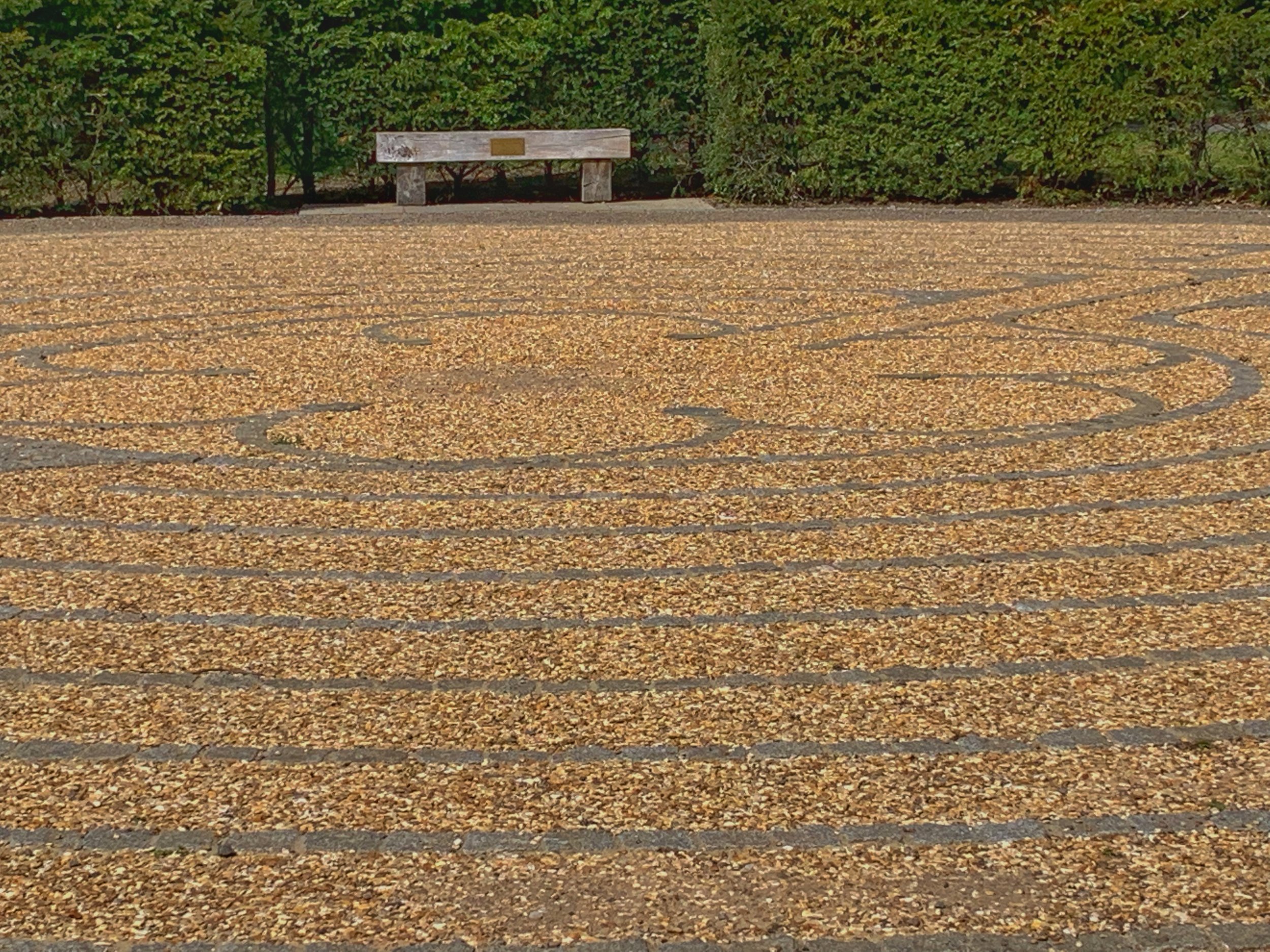 Labyrinth at the University of Edinburgh ( http://www.labyrinth.ed.ac.uk .) photo by anne richardson