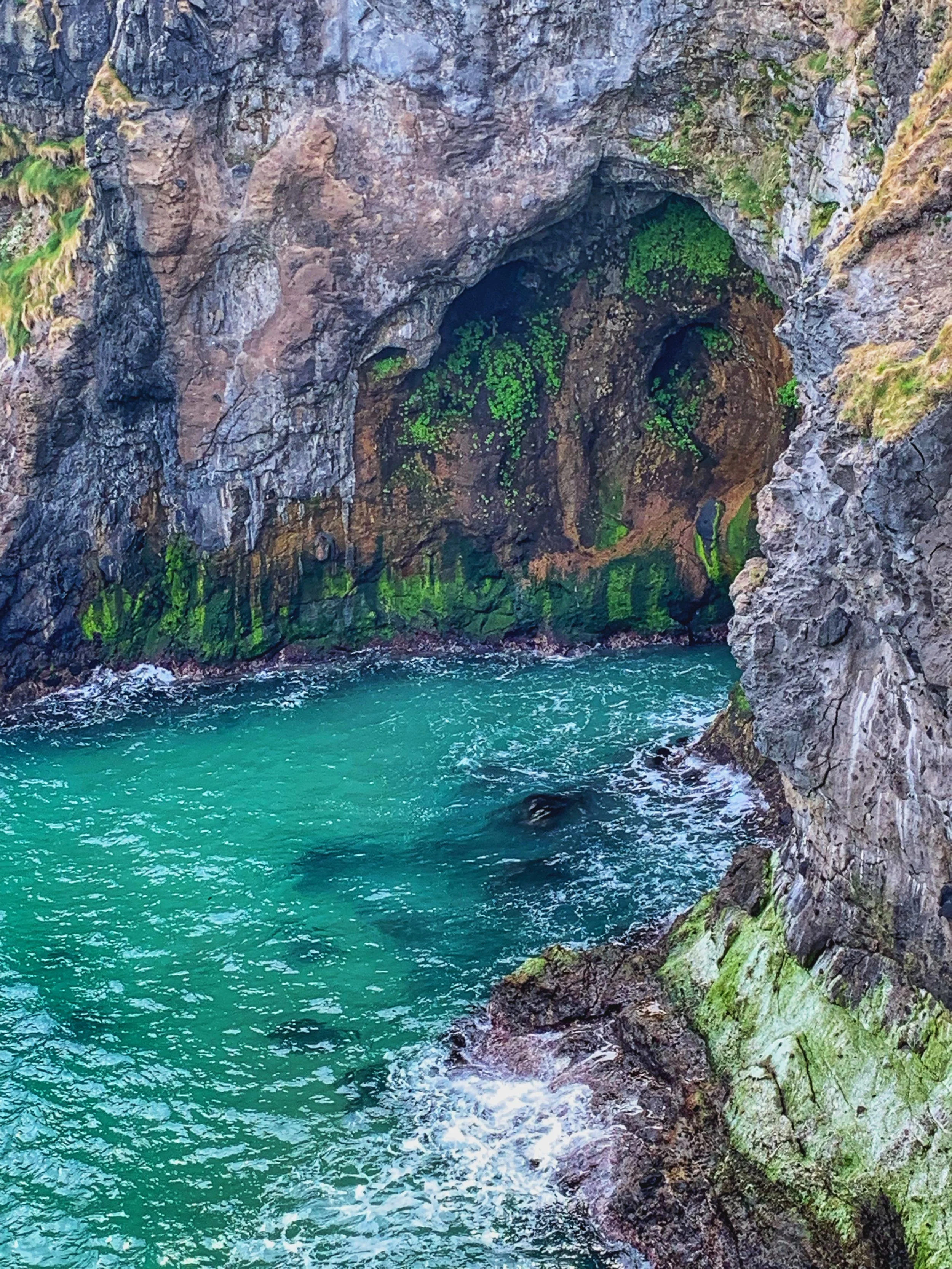 Causeway Coast in N. Ireland. I thought it matched Oregon’s for beauty. photo by anne richardson.