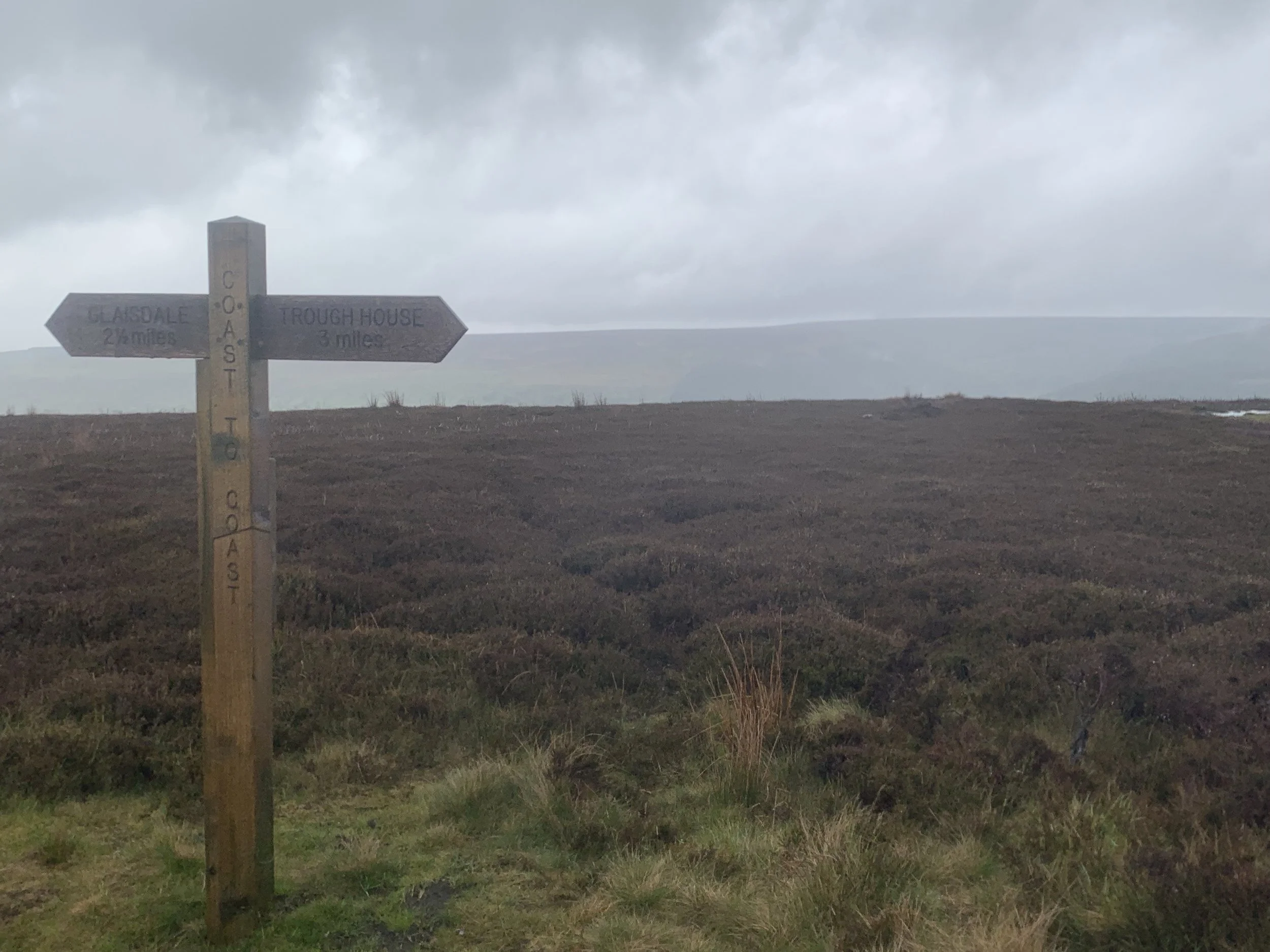 Rainy and windy Yorkshire Moors. photo by anne richardson