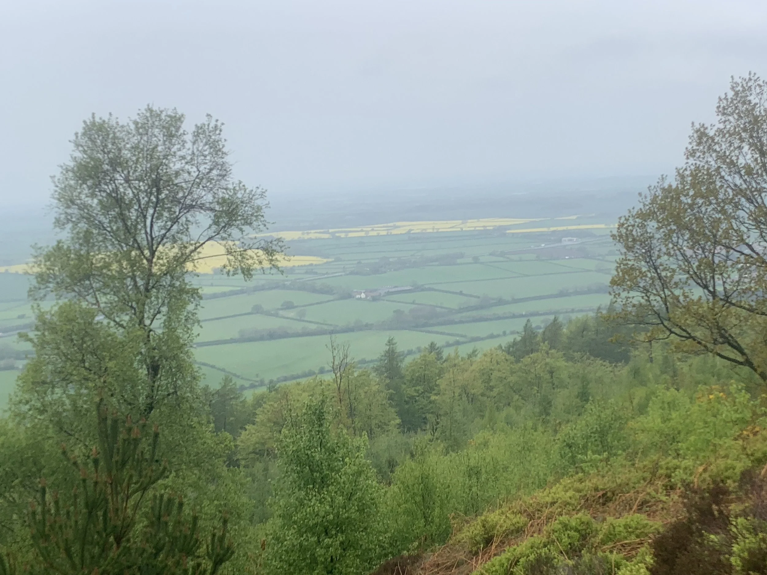From the top of one of the Cleveland Hills we climbed. Photo by anne richardson