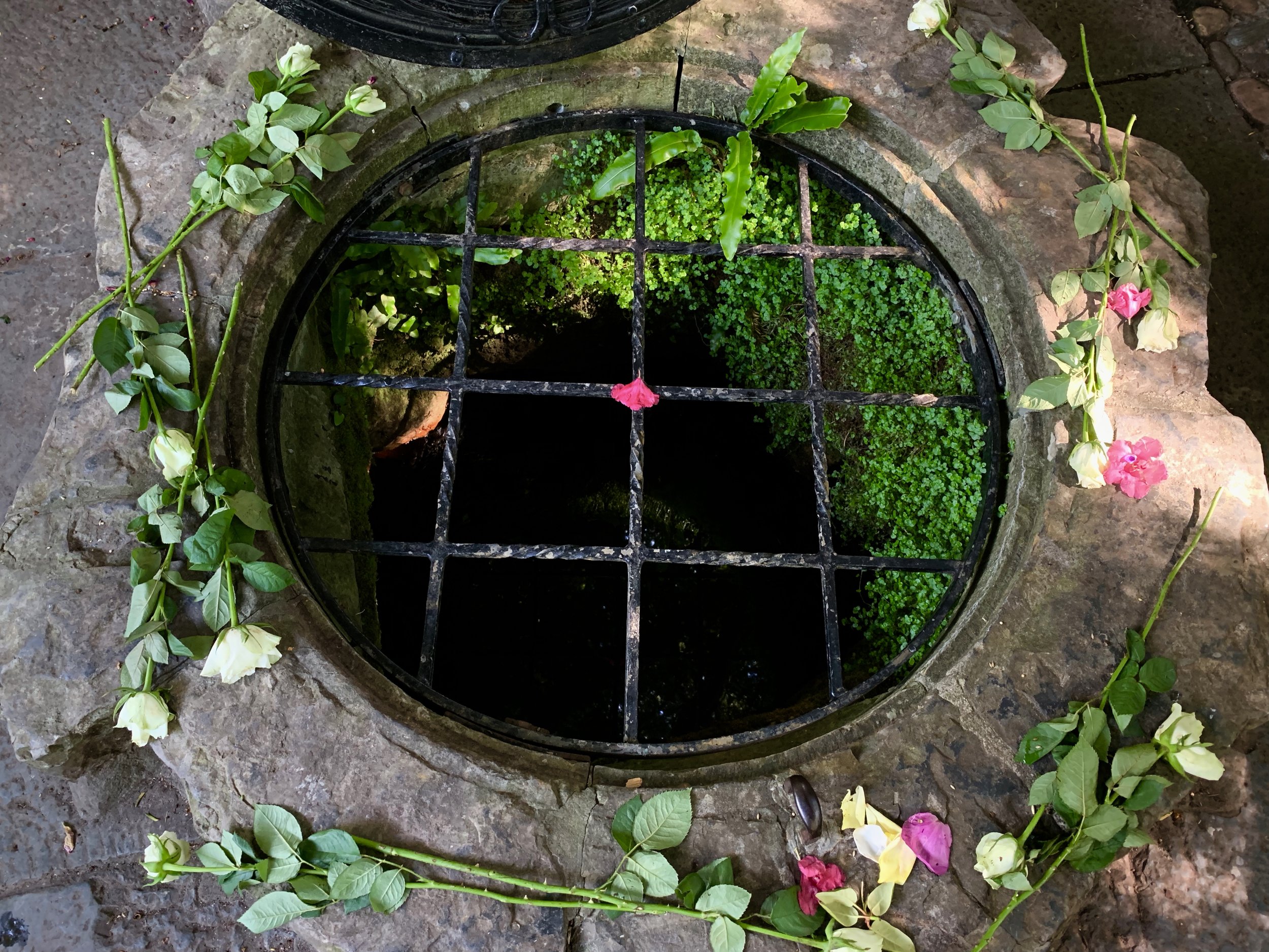 Chalice Well, Glastonbury, England. Photo by anne richardson.