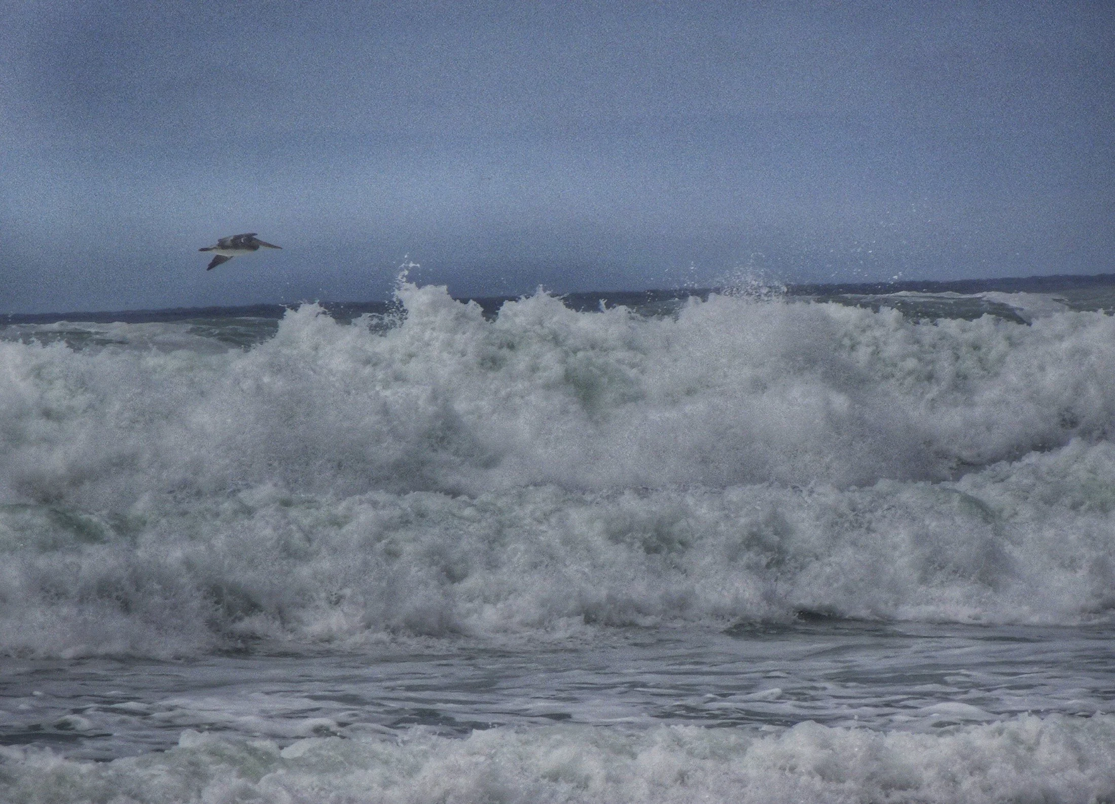 Waves of Grief. Cannon Beach, Oregon, late summer 2019. photo by anne richardson