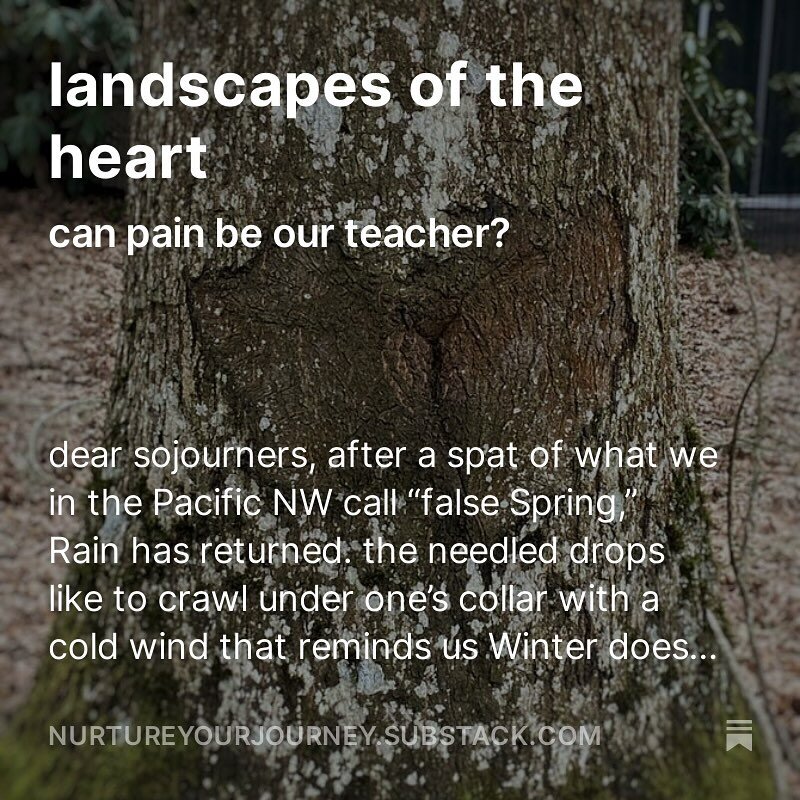 A bit late, but this week&rsquo;s Substack reflects on empathy, pain, joy, and remaining connected. I hope you are taking tender care of your hearts🧡. 

Here is a wee except from the post. Link in bio.

&ldquo;as my work primarily involves coming al