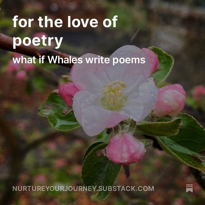 this week&rsquo;s Substack reflects on national poetry month and the importance of poetry in our lives from childhood to our elder years. how poetry can deepen conversations around difficult conversations. and can be playful too. i hope you take time
