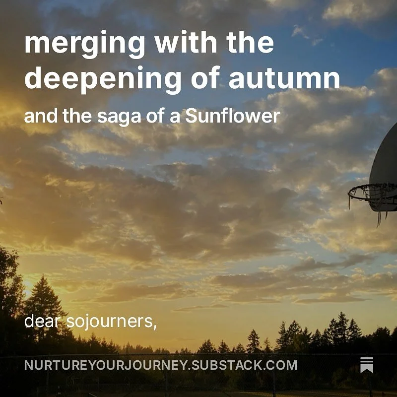 a reflection on appreciating summer moving on, what a Sunflower inspired, and other miscellaneous ponderings as i once again posted to Substack after a three month hiatus. i hope you are taking soft and tender care of your hearts during these times o