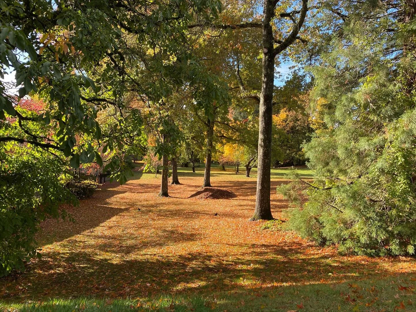 My quarterly newsletter is now available with reflections on Grief (surprise). Recommendations/resources focused on Francis Weller&rsquo;s new book In The Absence of the Ordinary. My ongoing desire to slow down, And how to be tender with yourself and