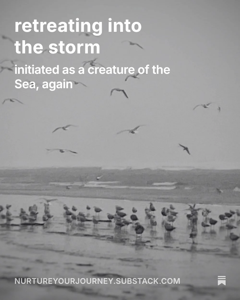 in the midst of the deepening dark as we approach winter solstice, it was time for my annual retreat. this year it coincided with an atmospheric river. my current Substack post, retreating into the storm, reflects on my time away. 

during these time