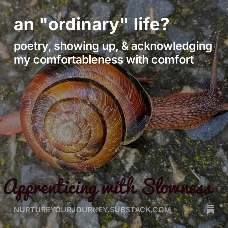 once again, it seems space between my posts has expanded. at some point i let go of tying threads together. making a post cohesive. maybe that is where we are in the world these days. scattered and unresolved. i&rsquo;m getting more ok with that. so 