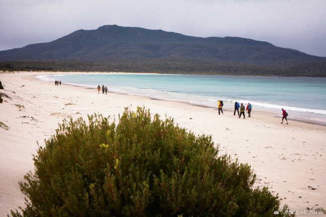 20120905-Primal FIt Maria Island 0408.jpg