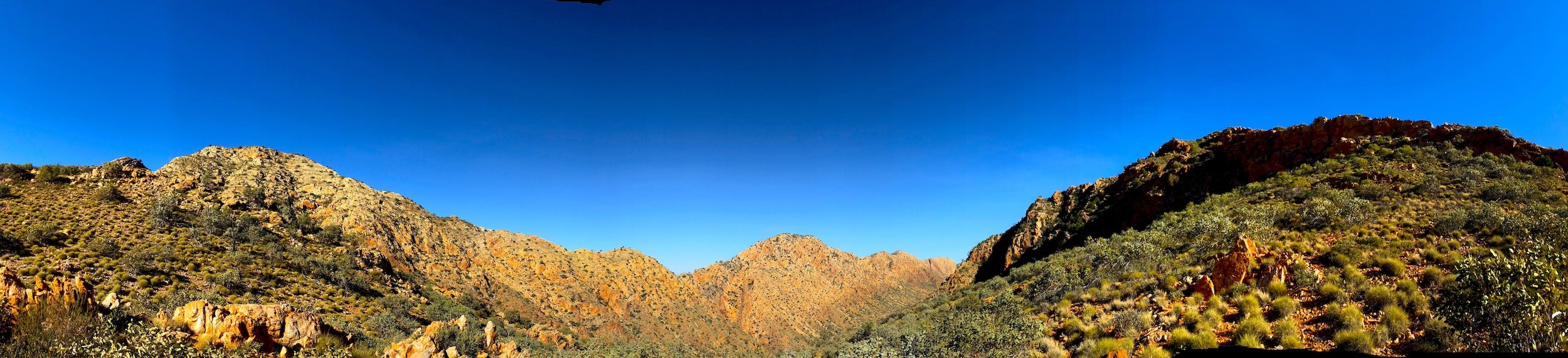 18_Primal_Adventures_Larapinta_sceneryonly3.jpeg