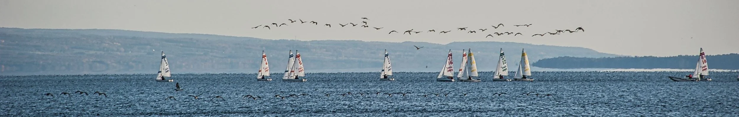 Geneva Lakefront Concert Series