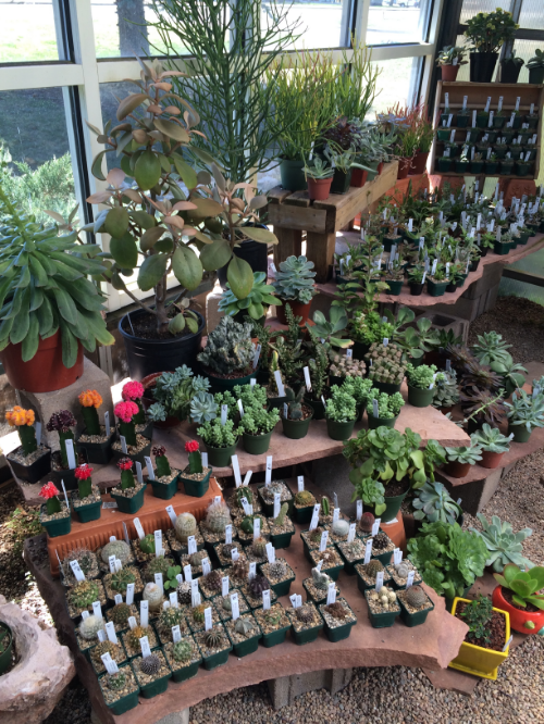 Can I take them all home?!