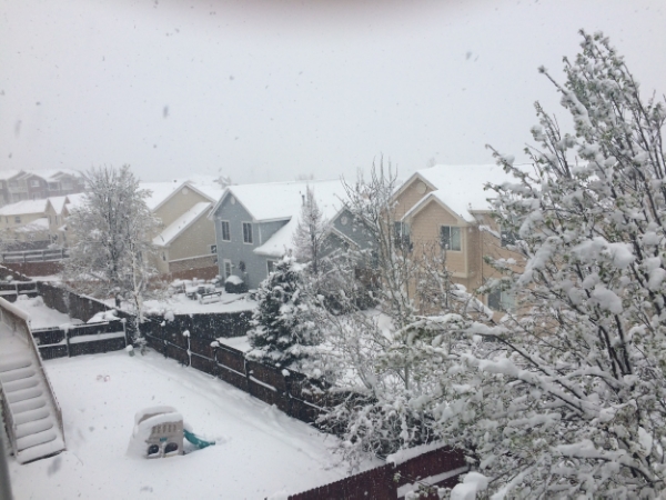 SNOWWWWWWWW