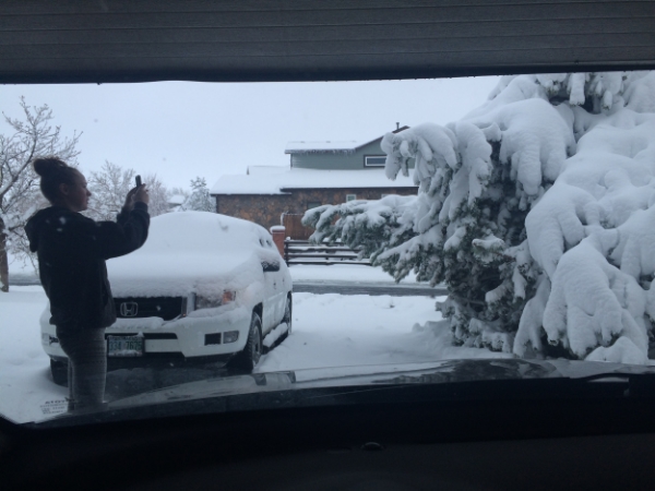 Yes, we had to drive under/through a tree. 
