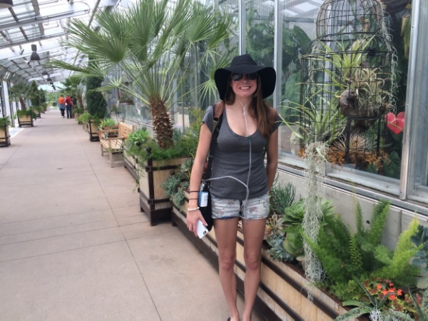 Cheese and air plants