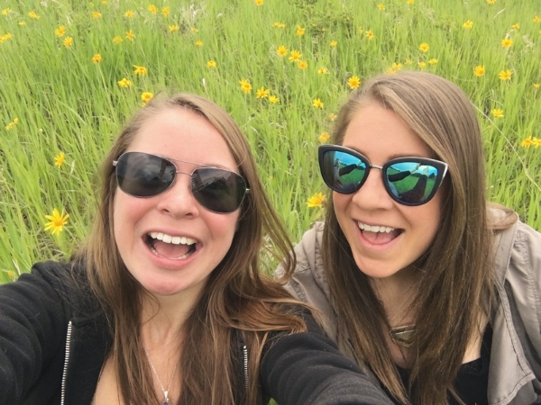 Cheese and wildflowers