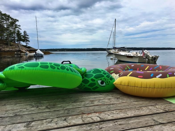 This sea turtle likes doughnuts