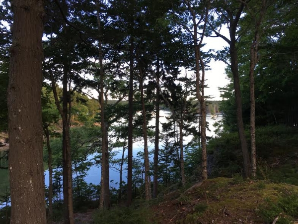 Backyard views!