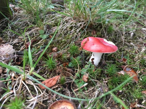 Lil guy!