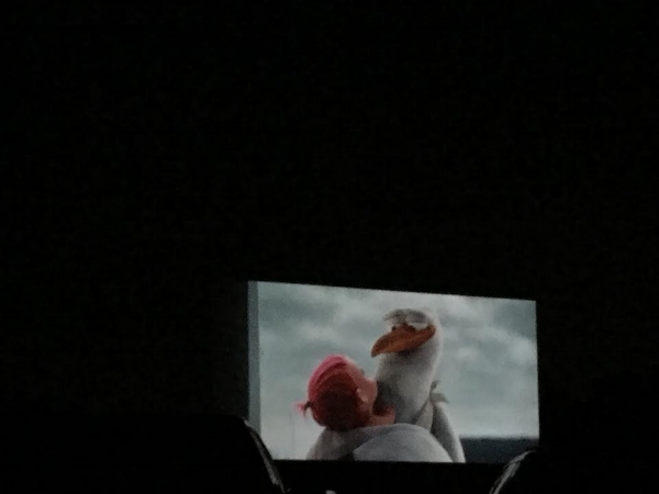 The only snap we got from the drive-in. 