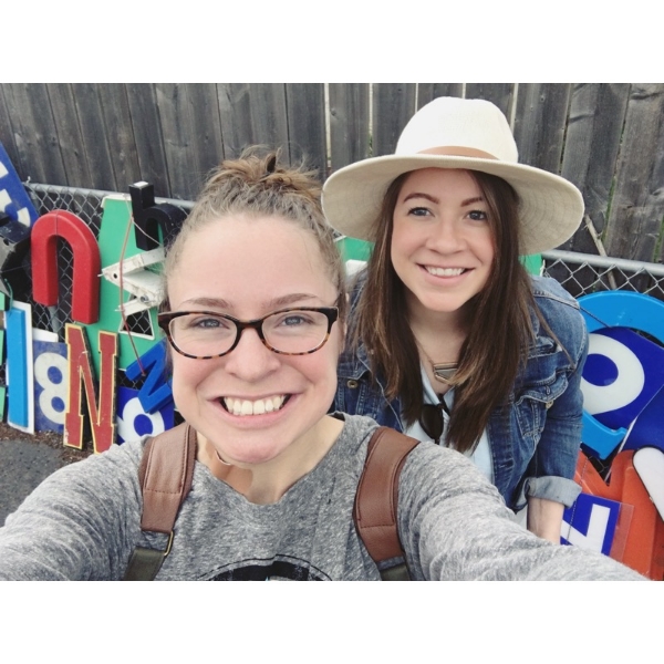 Cath, Cows & Collectables