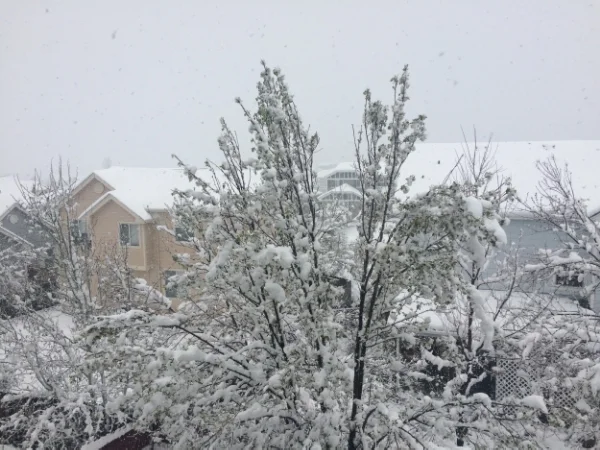 Go away snow, we have an early call time!