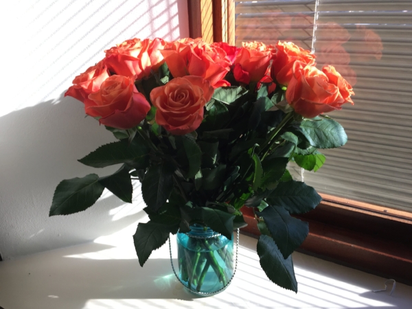 Roses for Rima 