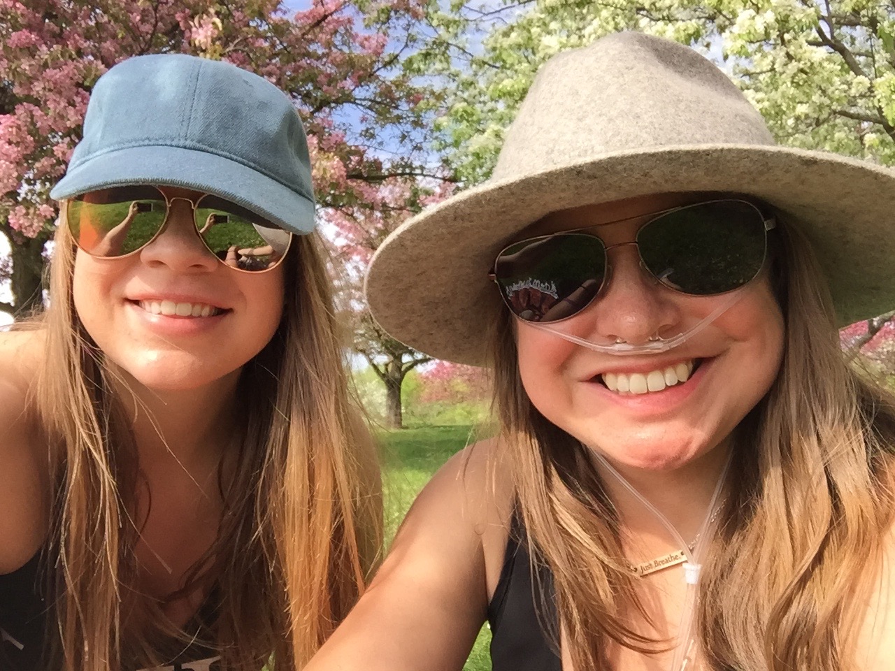 Picnic pic 