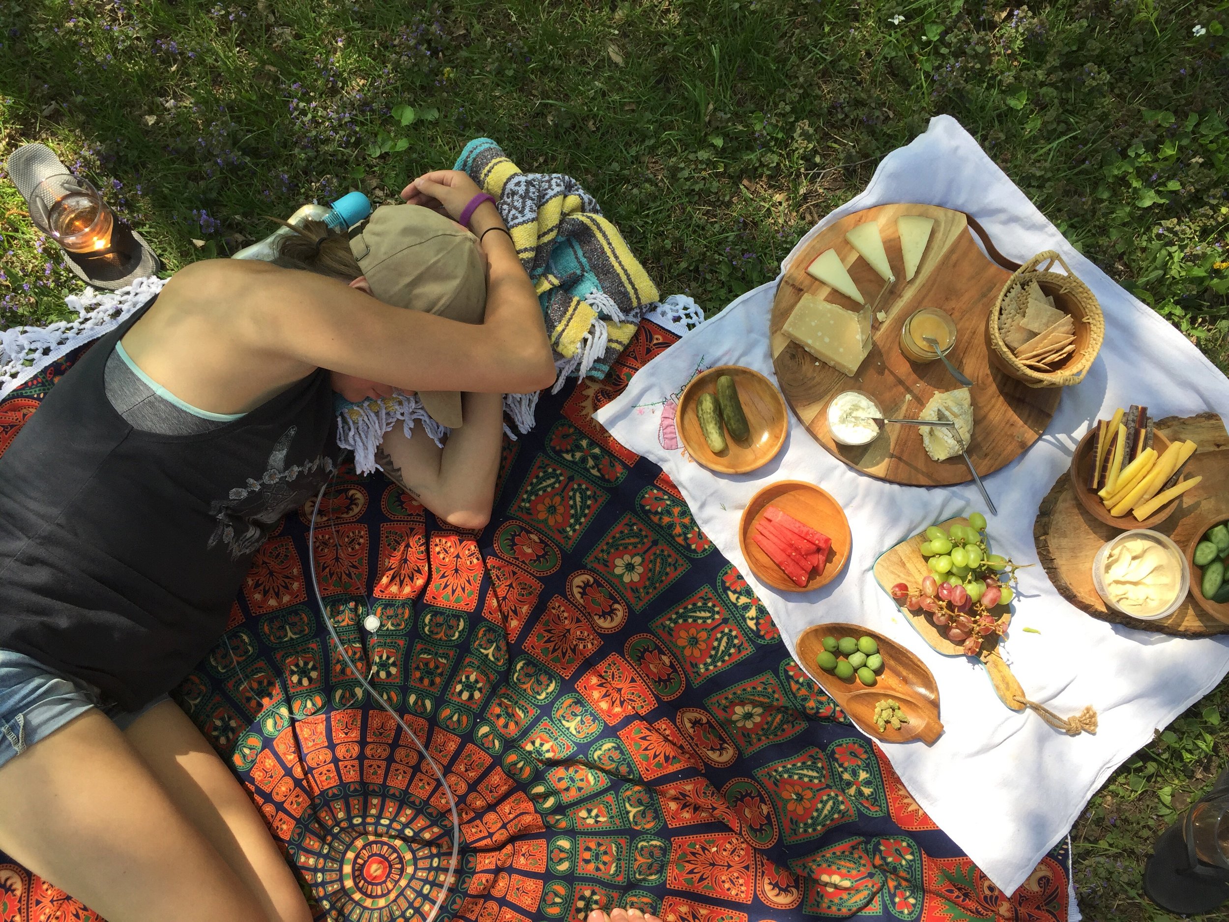 Picnic cat naps 