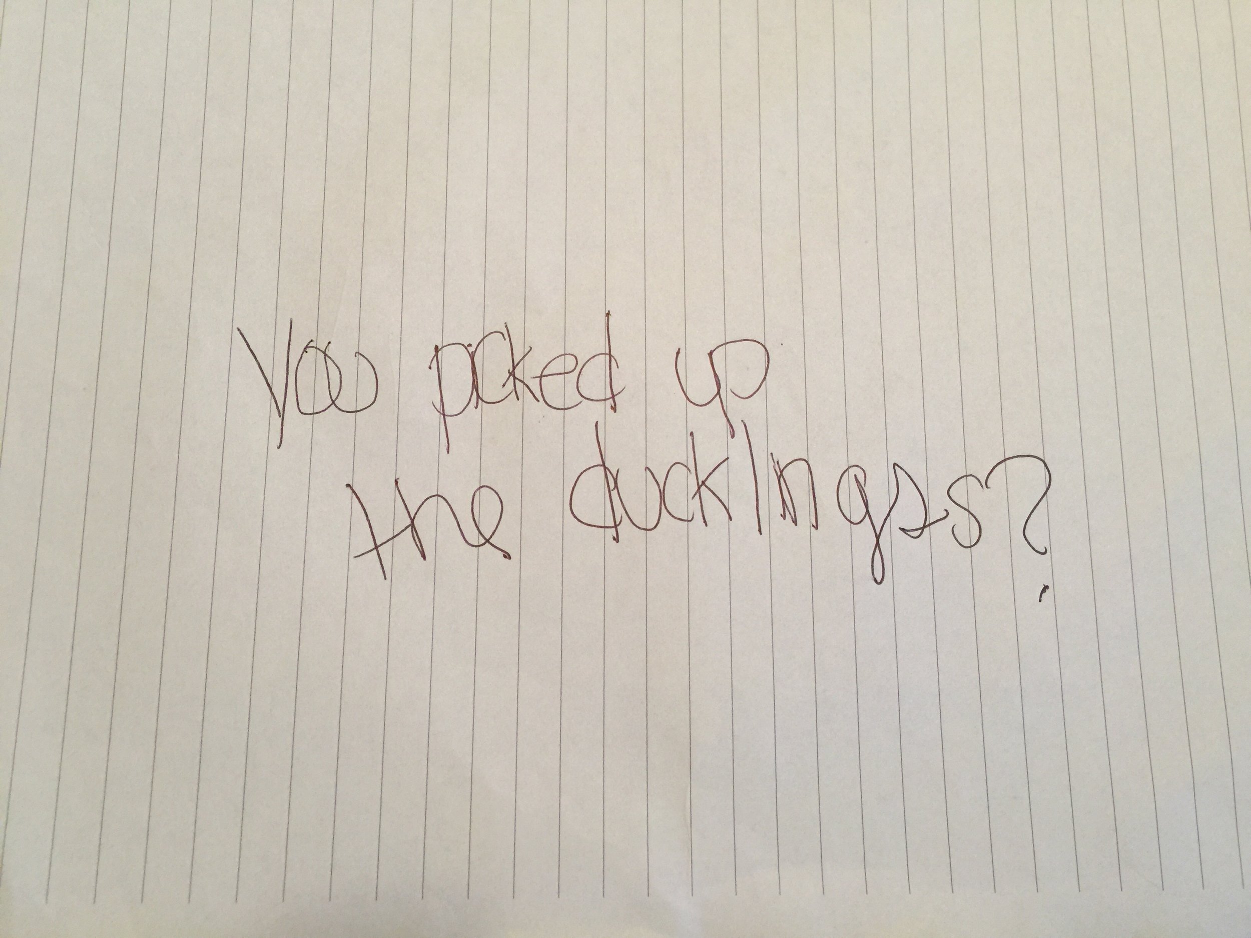 I told her about the ducklings, she thought I picked them up...