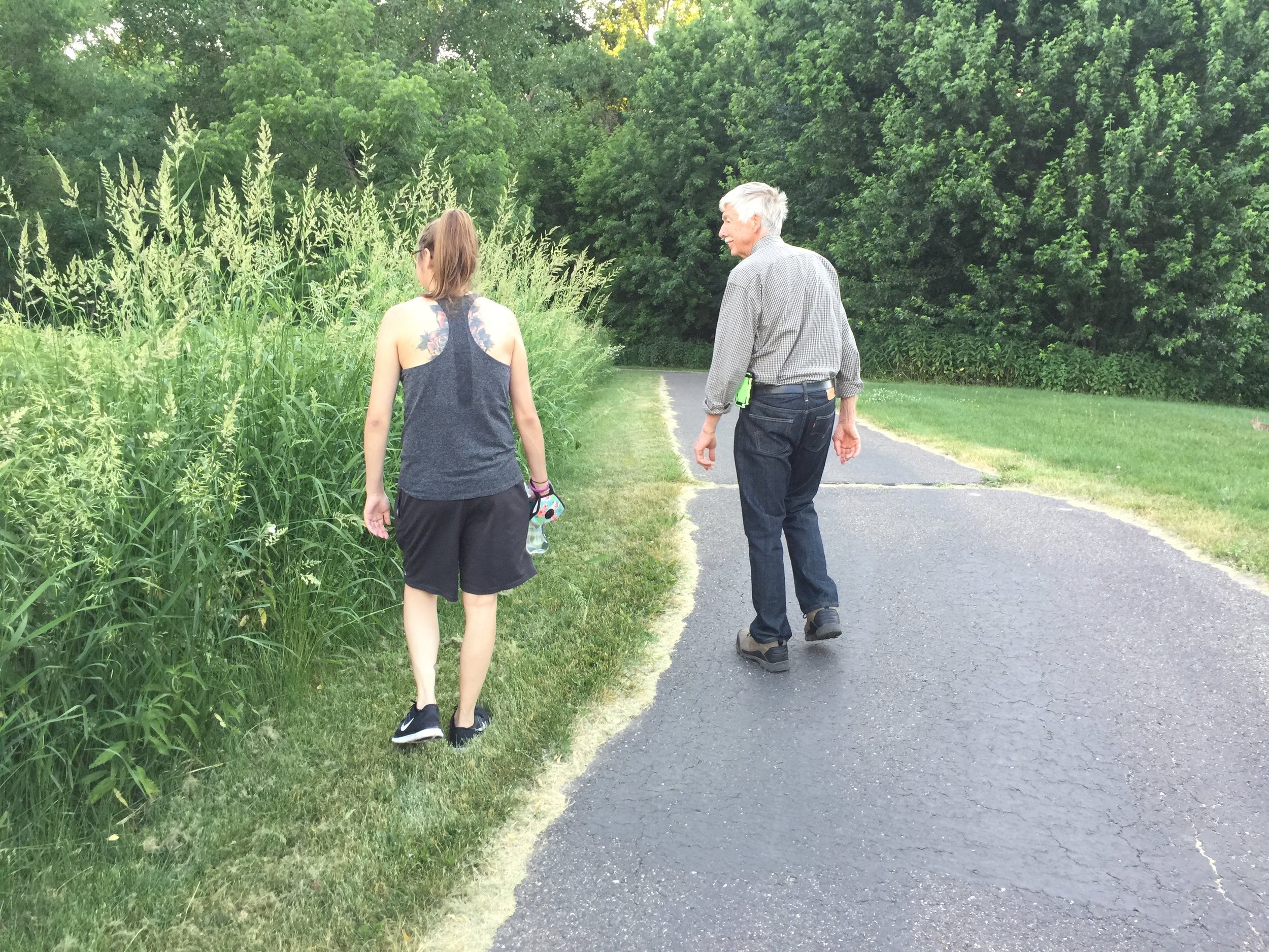Evening walk, look at that super tall grass 