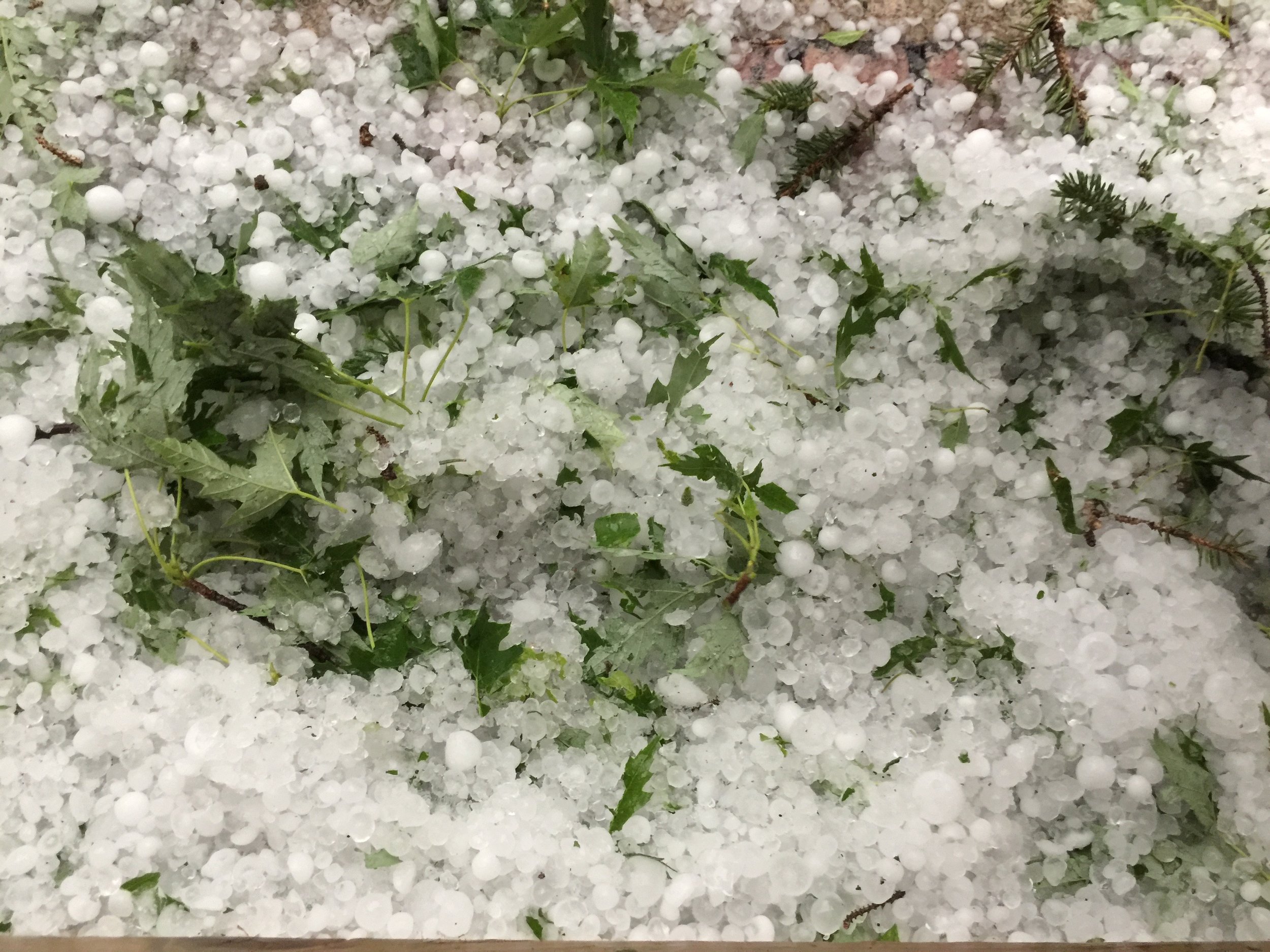 June hail 