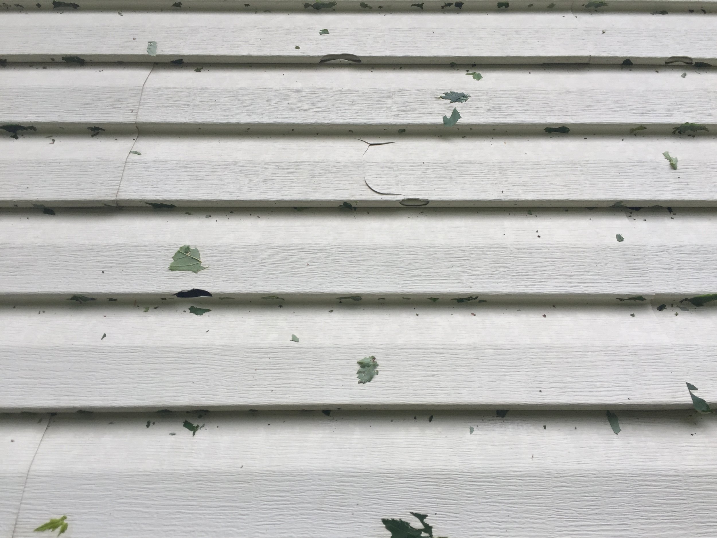 The side of the house!