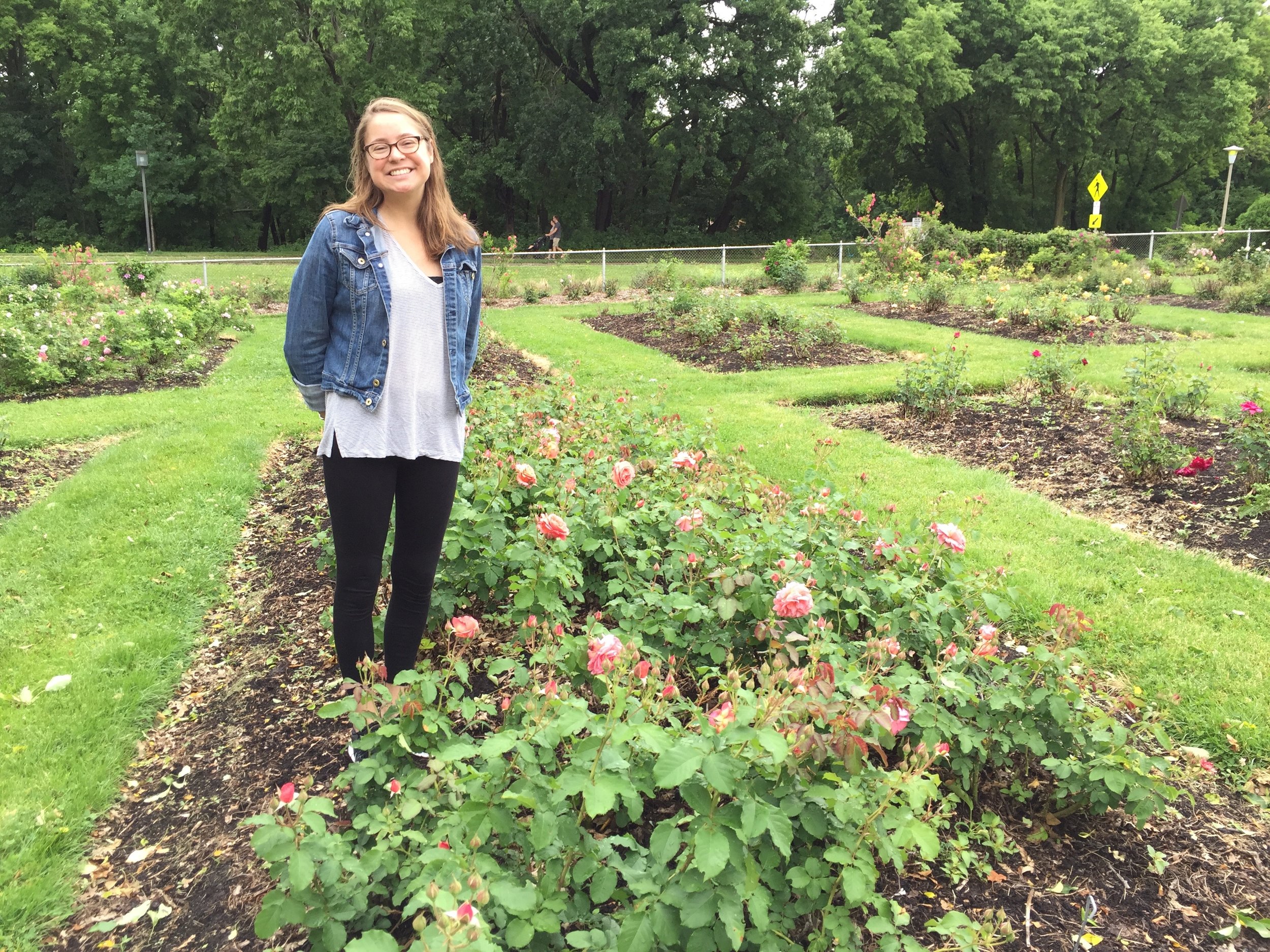 Rose garden 