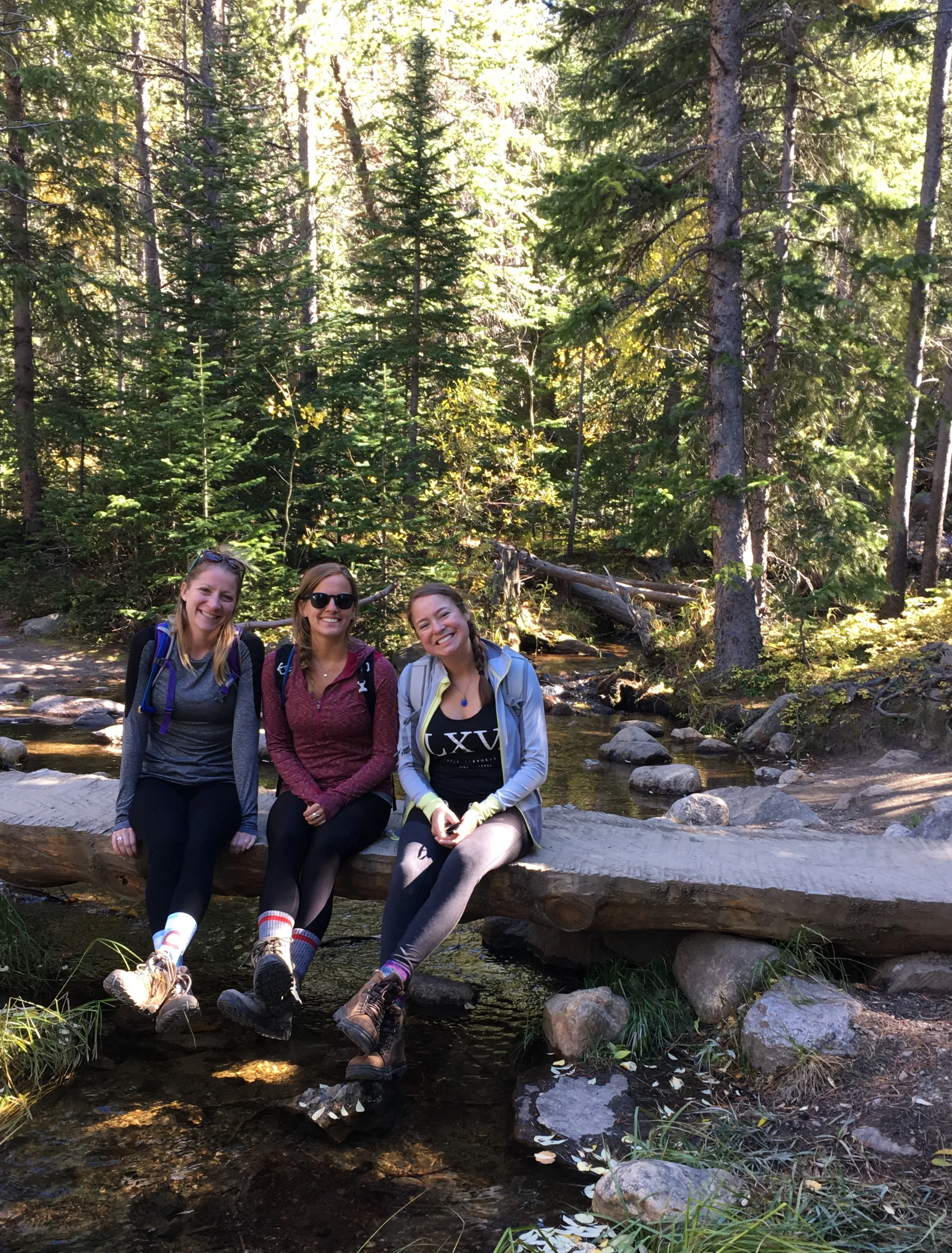Trail to Alberta Falls