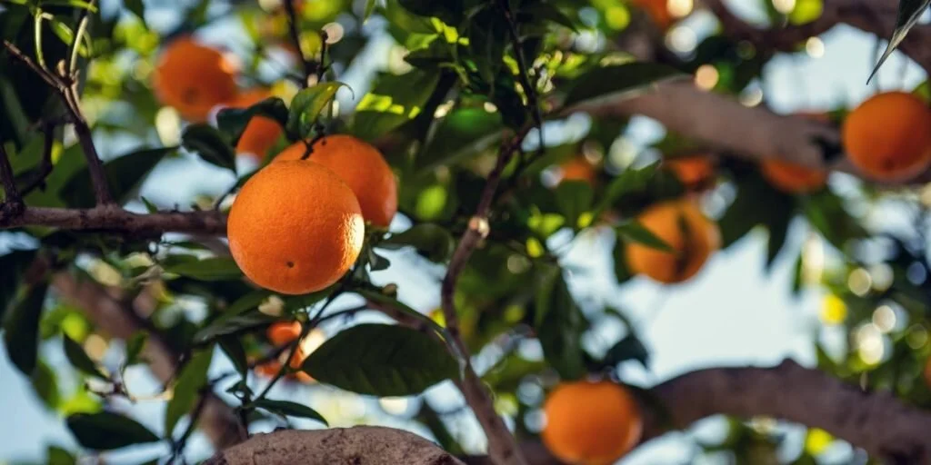 A New Season Is Upon Us