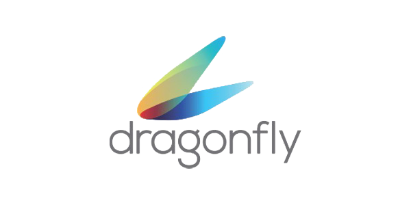 dragonfly copy.png