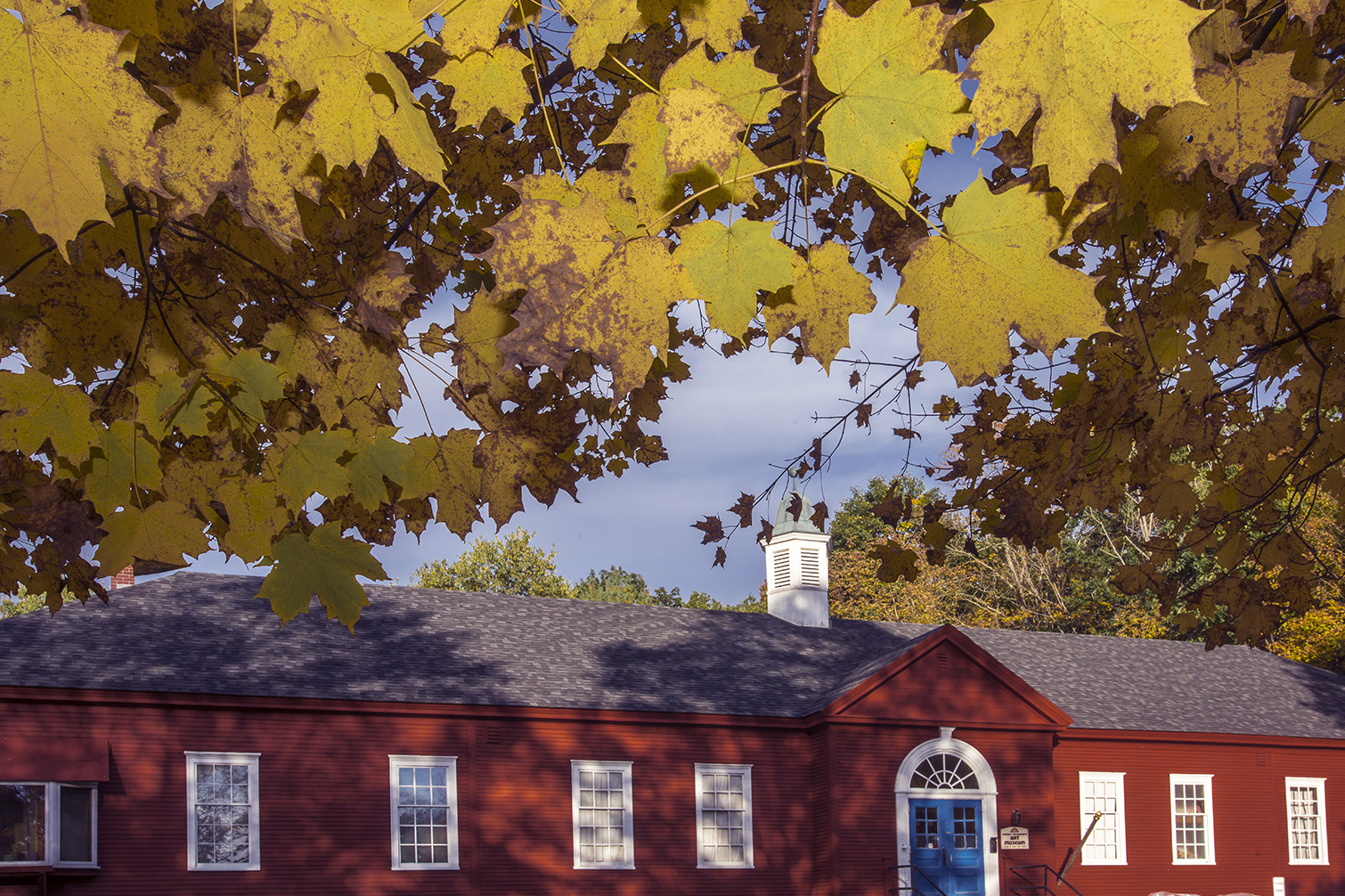 fall.jpg