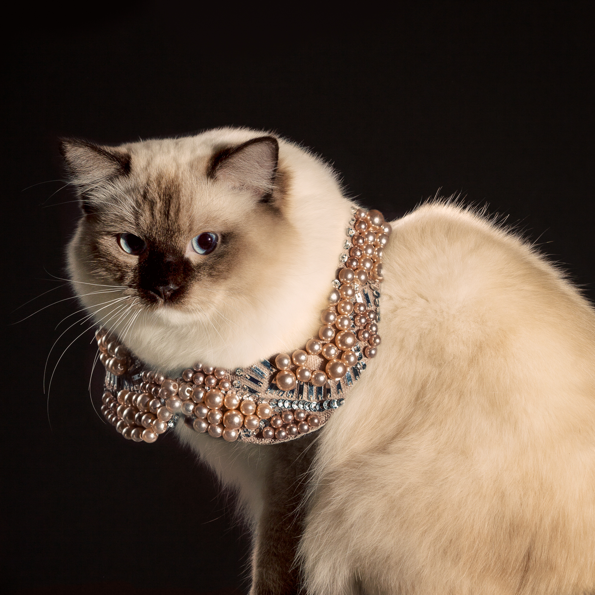  Lindsey Reif’s beautifully constructed collar of pretty pink pearls and reflective glass is the perfect garment for the stunning Ragdoll Fashionista,  Black Doll Angelic Theresa .  