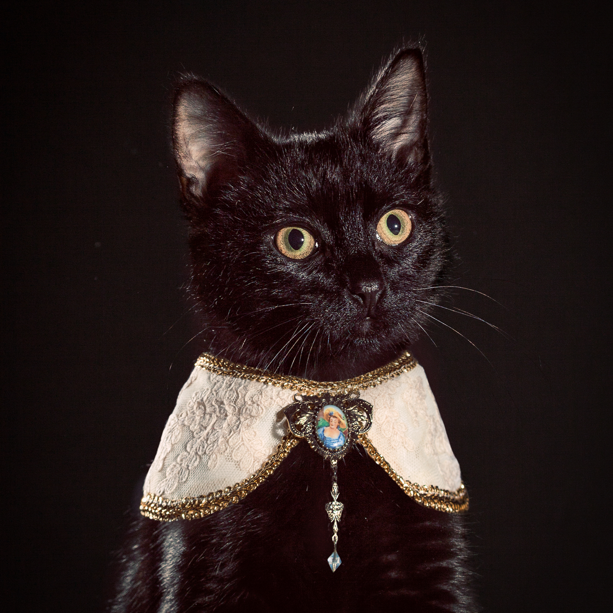   Cozi,  the beautiful lil Bombay bae is wearing an adorable vintage lace Peter Pan collar adorned with a precious Victorian cameo made by the always romantic and fanciful, Kate Towers.  