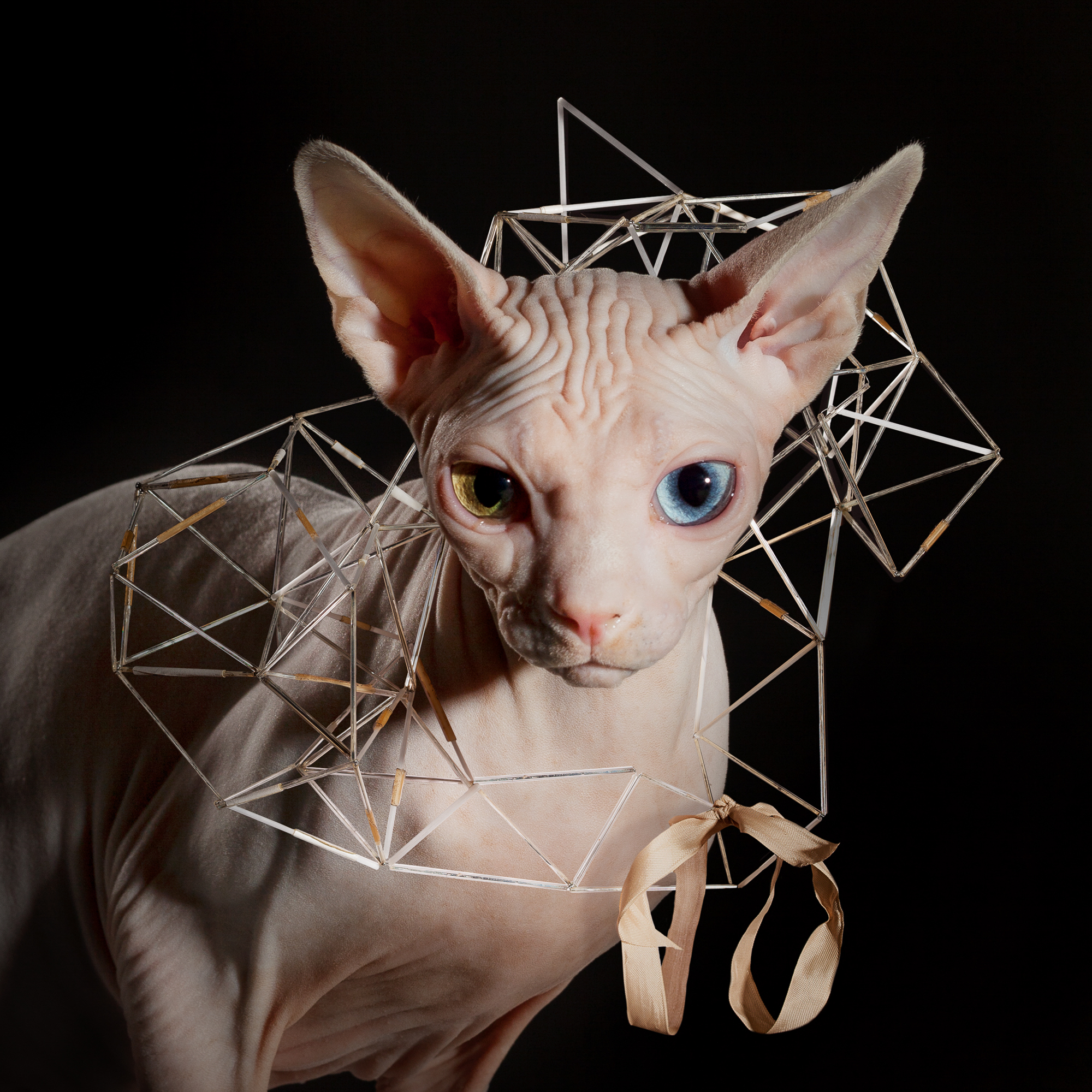  Known for recontextualizing fine vintage jewelry, Julia Barbee has refashioned antique glass lamp work beads for this exquisite, sculptural collar worn by  Xanadu  the hairless Sphynx.  
