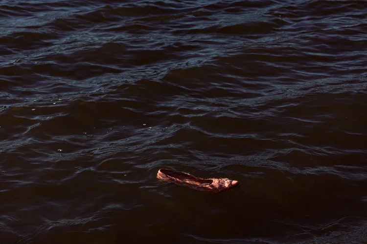 A dark water surface with ripples and waves, featuring a single pale animal carcass floating in the centre, lit by warm golden light.