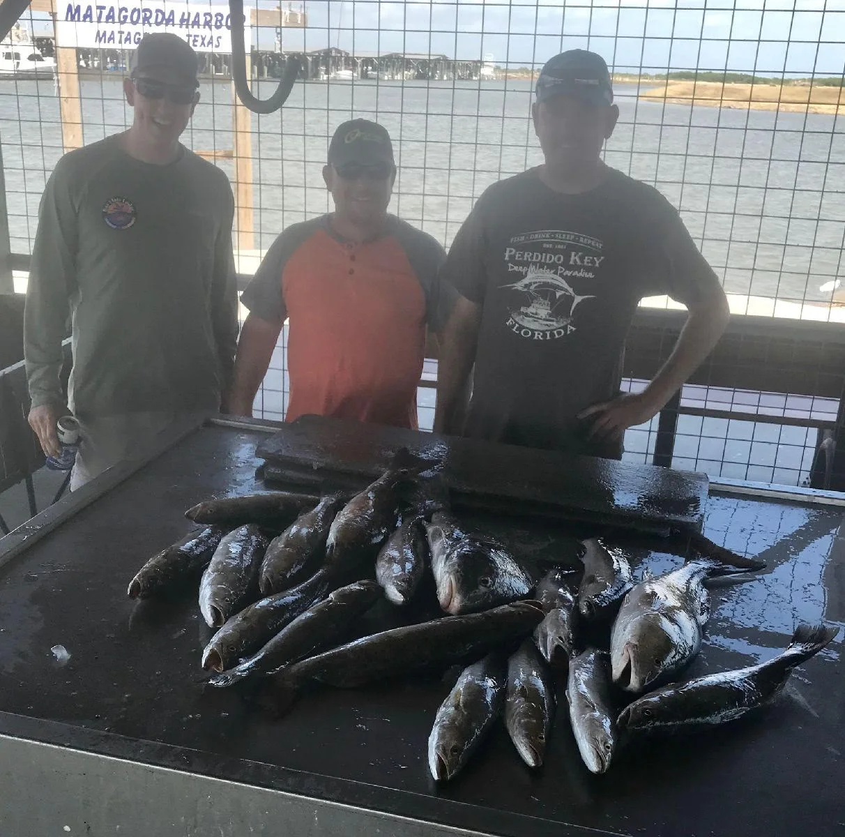 Fishing Report 10/5/2017